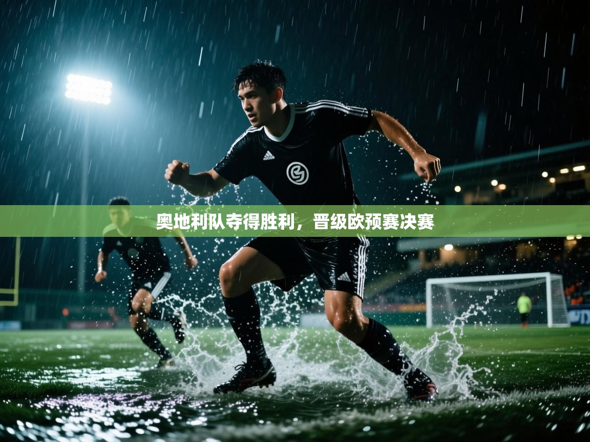 奥地利队夺得胜利，晋级欧预赛决赛  第1张